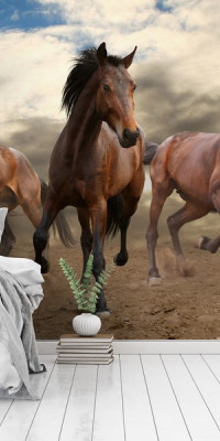 Állatos poszter TPALL029